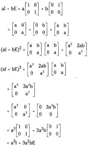 TS Inter 1st Year Maths 1A Solutions Chapter 3 Matrices Ex 3(b) 16