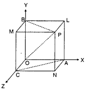 TS Inter 1st Year Maths 1A Solutions Chapter 5 Products of Vectors Ex 5(a) 14